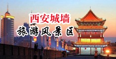 爽爽淫人淫人中国陕西-西安城墙旅游风景区